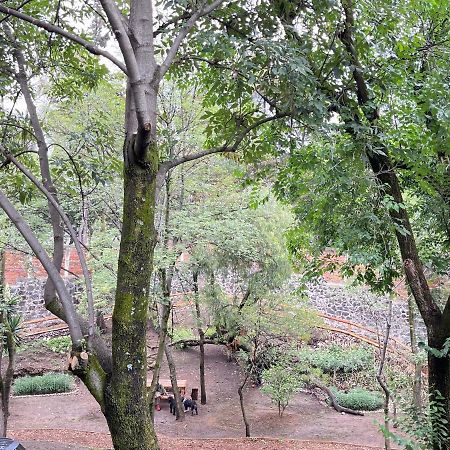 メキシコシティ Mi Refugio San Angelヴィラ エクステリア 写真